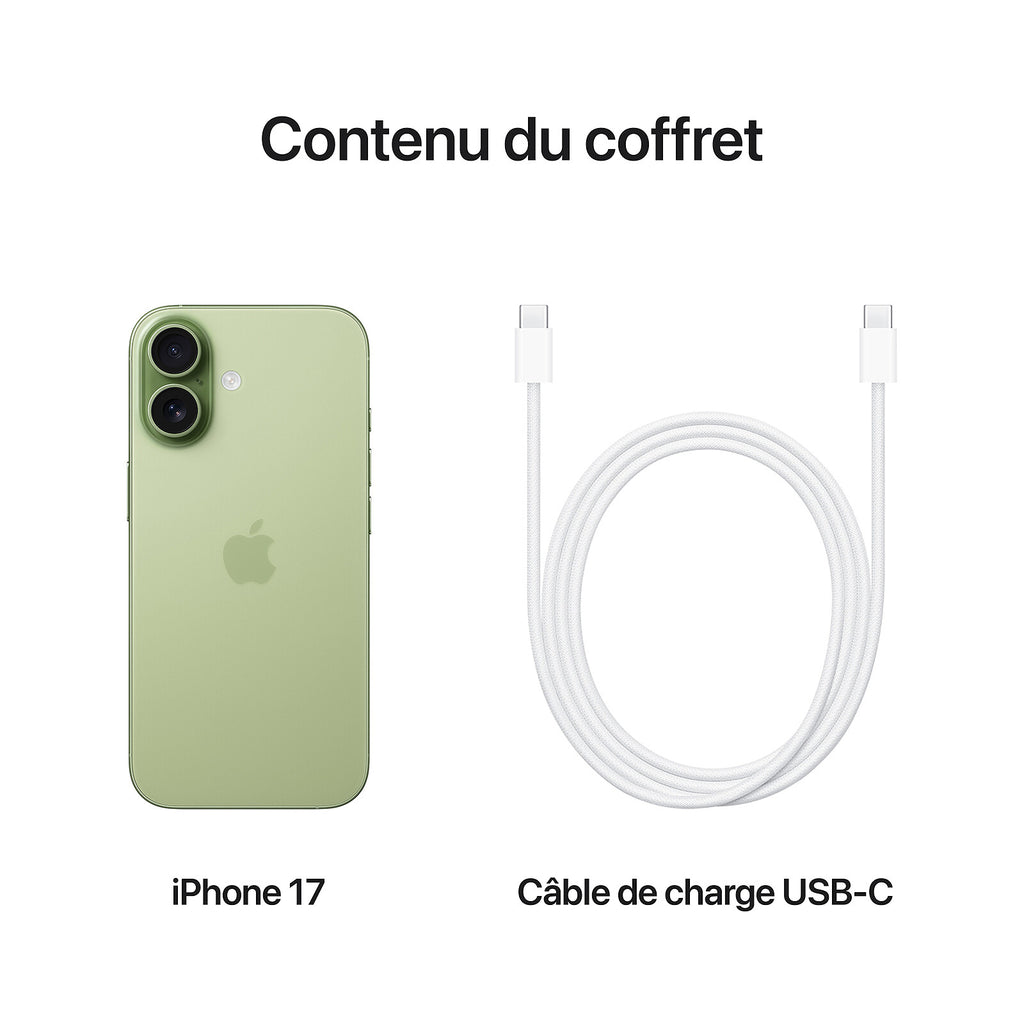 Apple iPhone 17 256Go Sauge (EU)