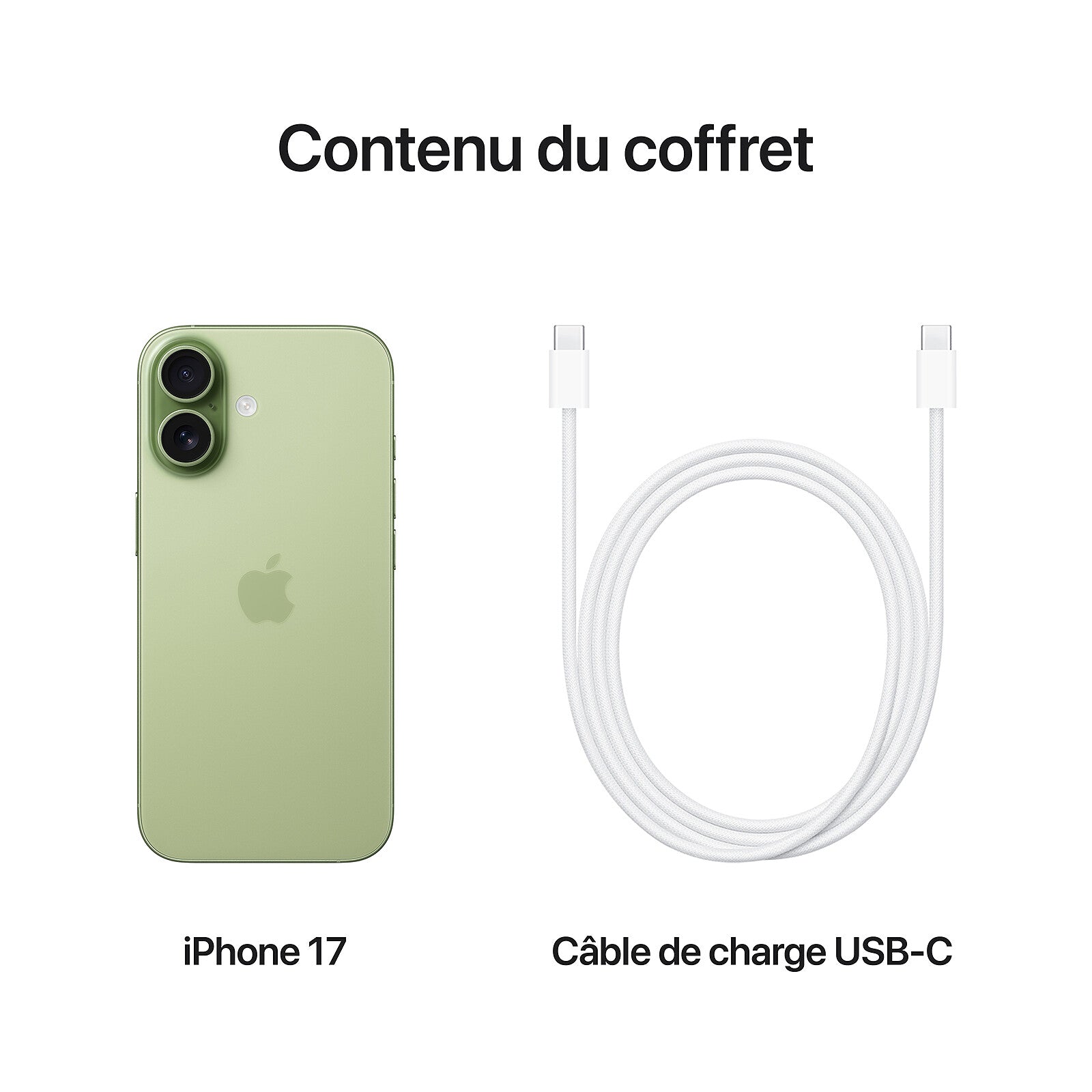 Apple iPhone 17 256Go Sauge (EU)